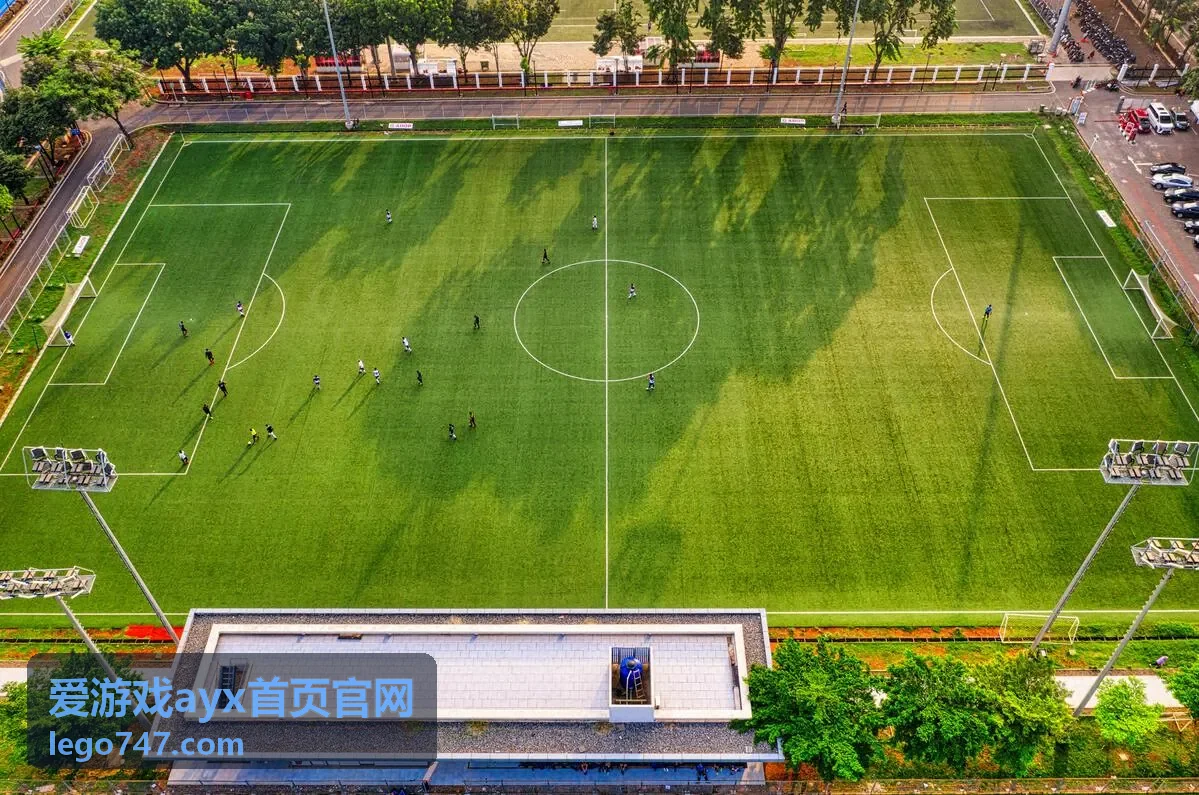 爱游戏ayx首页官网阶段达成奖励条目封面